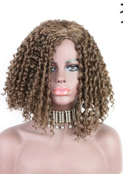 African Small Curls Mechanism Rose Inner Net Middle-Aged And Elderly Short Curly Hair