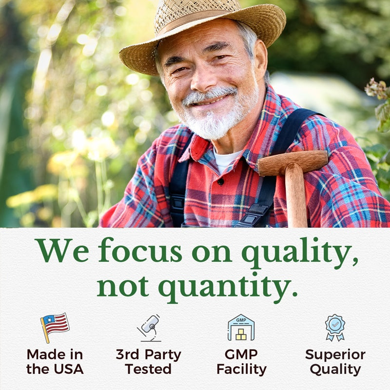 BSYS Moringa Capsules  Antioxidant & Anti-Inflammatory Support  Blood Sugar Health Aid  Cholesterol Balance Formula  Heart Wellness Support  Immune Boost & Natural Defense  Daily Superfood Suppl